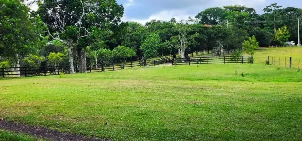 Fazenda/Sítio com 6 Quartos à venda, 300m² no Fiuza, Viamão