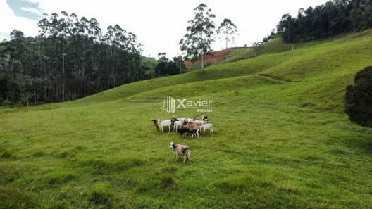 Lote/Terreno à venda, 96800m² no Matilde, Alfredo Chaves
