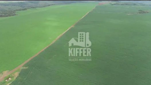 Fazenda/Sítio com 4 Quartos à venda, 500m² no Plano Diretor Expansão Sul, Palmas