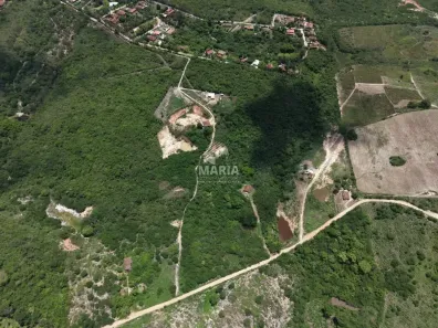 Fazenda/Sítio à venda, 25000m² no Ebenezer, Gravatá