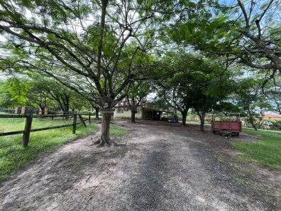 Fazenda/Sítio com 2 Quartos à venda, 90m² no , Porto Feliz