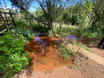 Fazenda/Sítio à venda, 60000m² no , Dom Viçoso
