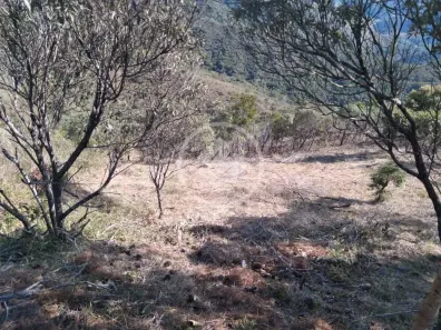 Lote/Terreno à venda, 4260m² no Pedro do Rio, Petrópolis