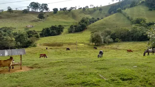 Fazenda/Sítio com 3 Quartos à venda, 181500m² no Sertãozinho, Borda da Mata