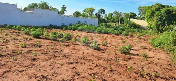 Lote/Terreno à venda, 1006m² no Vale do Igapó, Bauru