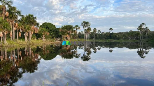 Fazenda/Sítio com 5 Quartos à venda, 4100m² no , Buritizeiro