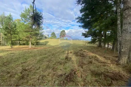Lote/Terreno à venda, 630m² no Vila Maria, Lages