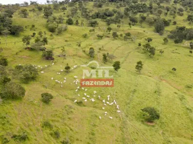 Fazenda/Sítio à venda, 500m² no Centro, Caldas Novas