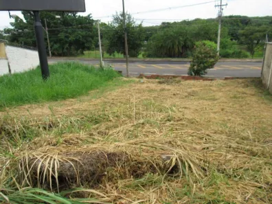 Lote/Terreno para alugar, 498m² no Centro, Piracicaba