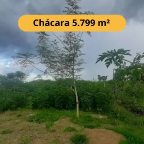 Fazenda/Sítio com 2 Quartos à venda, 5799m² no Ulisses Guimarães, Porto Velho