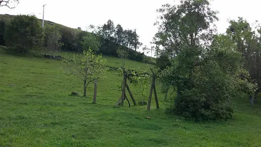 Fazenda/Sítio com 3 Quartos à venda, 80m² no Centro, São Francisco de Paula