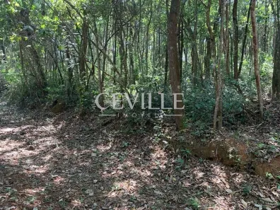 Lote/Terreno à venda, 6250m² no Village Sans Souci, Nova Lima