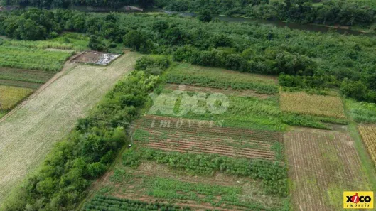 Fazenda/Sítio com 1 Quarto à venda, 5000m² no Nova Petrópolis, Nova Petrópolis