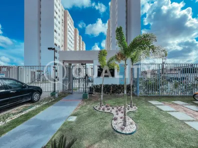 Apartamento com 2 Quartos para alugar, 40m² no Itaperi, Fortaleza