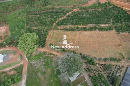 Lote/Terreno à venda, 20500m² no , Marechal Floriano