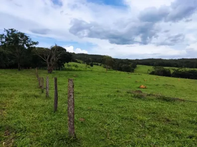 Fazenda/Sítio com 3 Quartos à venda, 120m² no Centro, Luziânia