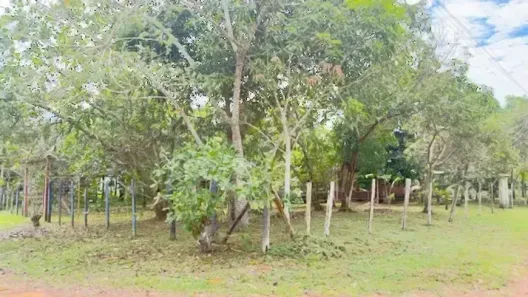Fazenda/Sítio com 1 Quarto à venda, 800m² no Centro, Iranduba