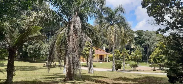 Fazenda/Sítio com 1 Quarto à venda, 126m² no Boneca do Iguaçu, São José dos Pinhais