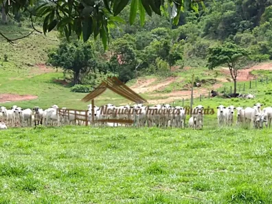 Fazenda/Sítio à venda, 1m² no Vila Birigui, Rondonópolis