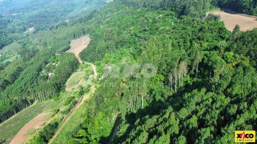 Fazenda/Sítio com 1 Quarto à venda, 5000m² no Nova Petrópolis, Nova Petrópolis