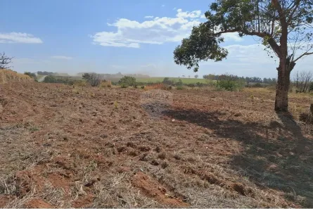 Lote/Terreno à venda, 204000m² no Centro, Mogi Mirim