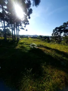 Lote/Terreno à venda, 3980m² no Alfândega, Garibaldi