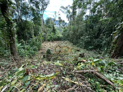 Lote/Terreno à venda, 666m² no Tenório (Praia Vermelha), Ubatuba