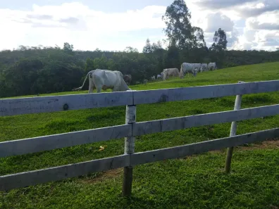 Fazenda/Sítio com 3 Quartos à venda, 243000m² no , Brasília