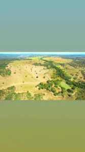 Fazenda/Sítio com 4 Quartos à venda, 200m² no Área Rural de Anápolis, Anápolis