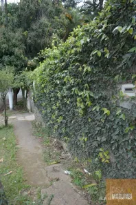 Casa com 1 Quarto à venda, 338m² no Butantã, São Paulo