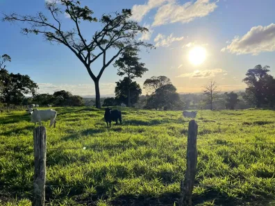 Fazenda/Sítio com 3 Quartos à venda, 500000m² no Alto Bonito, Alto Bonito