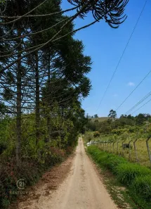 Lote/Terreno à venda, 5000m² no Chácaras Rurais Guararema, Jacareí