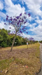 Lote/Terreno à venda, 1500m² no , Bela Vista de Goiás