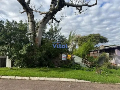 Lote/Terreno à venda, 385m² no Fátima, Canoas