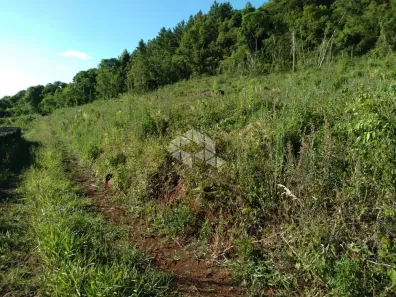 Fazenda/Sítio à venda, 80000m² no Nova Petrópolis, Nova Petrópolis