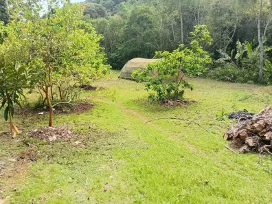 Fazenda/Sítio com 7 Quartos à venda, 5600m² no Penteado, Embu-Guaçu