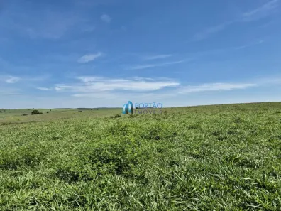 Fazenda/Sítio à venda, 4525400m² no Jardim Aclimação, Pirajuí