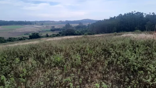 Lote/Terreno à venda, 500m² no Centro, Cotia