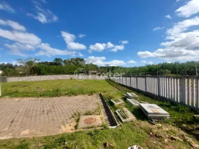 Lote/Terreno à venda, 141m² no Lomba do Pinheiro, Porto Alegre