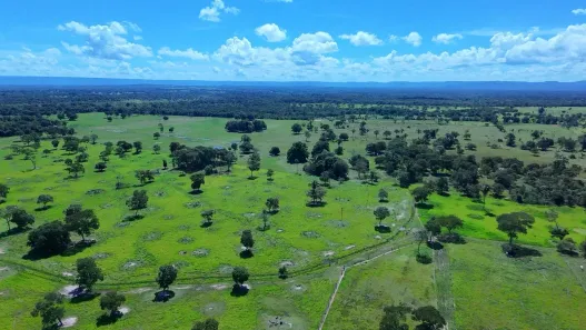 Fazenda/Sítio com 3 Quartos à venda, 96m² no Distrito Industrial, Cuiabá