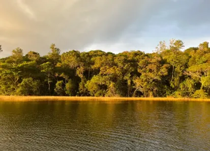 Lote/Terreno à venda, 405m² no Praia do Forte, Mata de São João
