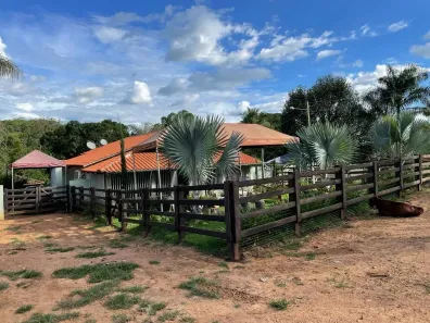 Fazenda/Sítio com 4 Quartos à venda, 46000000m² no , Professor Jamil