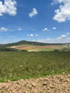 Lote/Terreno à venda, 700m² no Recreio Topázio (Caucaia do Alto), Cotia