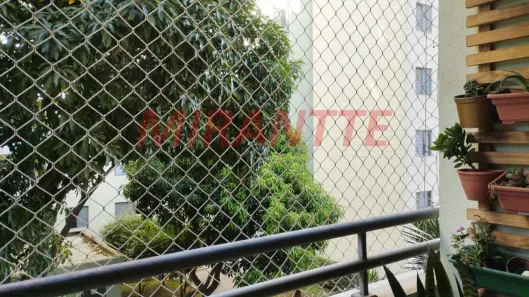Apartamento com 3 Quartos à venda, 70m² no Vila Palmeiras, São Paulo