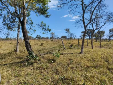Fazenda/Sítio à venda, 4404400m² no Centro, Luziânia