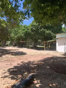Lote/Terreno à venda, 2924m² no Pipa, Tibau do Sul