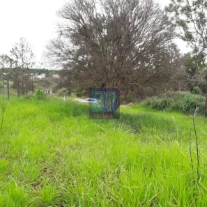 Fazenda/Sítio com 1 Quarto à venda, 3018m² no Parque Universidade, Londrina