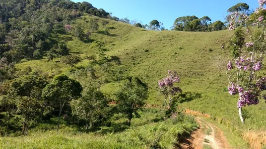 Fazenda/Sítio com 3 Quartos à venda, 363000m² no , Natividade da Serra
