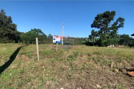 Fazenda/Sítio à venda, 24701m² no Alto Paredão, Santa Cruz do Sul