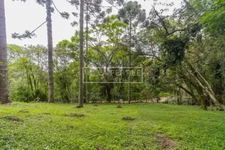 Lote/Terreno à venda, 745m² no Santa Felicidade, Curitiba